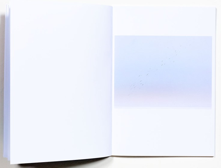 Caleb_Cain_Marcus-A_Brief_Moment_After_Death_4