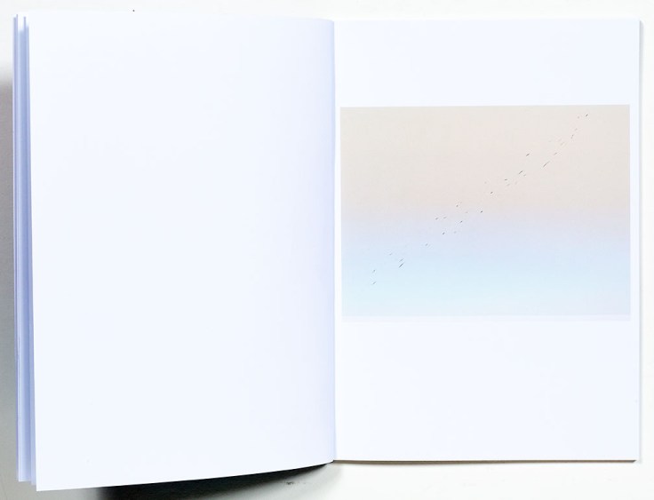 Caleb_Cain_Marcus-A_Brief_Moment_After_Death_5