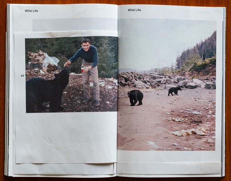 Karianne_Bueno_Dougs_Cabin-10