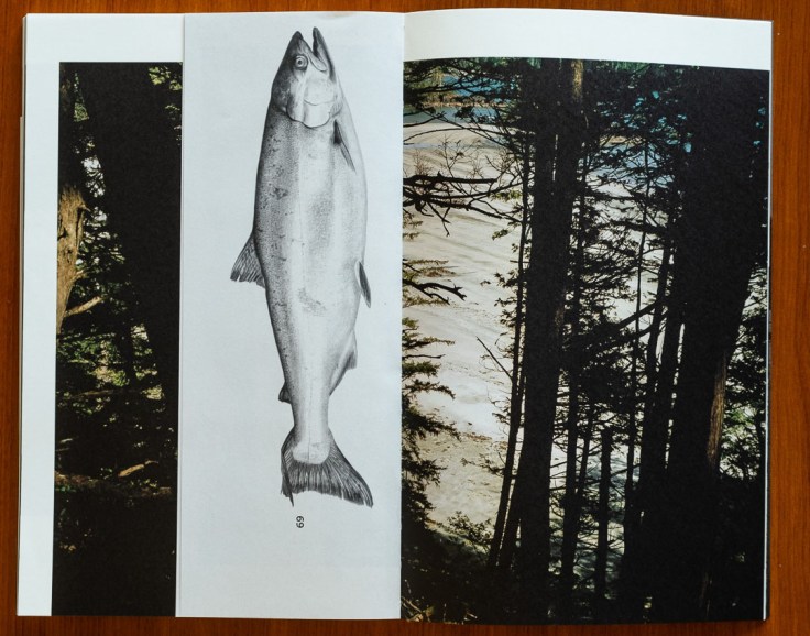 Karianne_Bueno_Dougs_Cabin-11