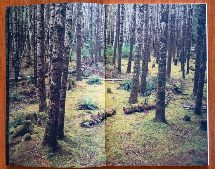 Karianne_Bueno_Dougs_Cabin-3