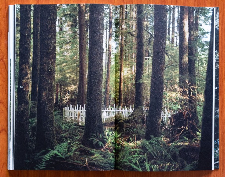 Karianne_Bueno_Dougs_Cabin-8