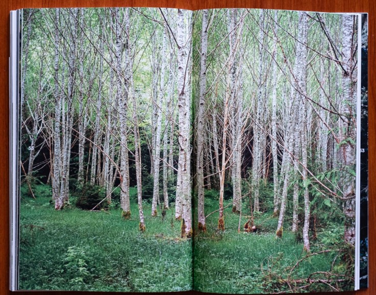 Karianne_Bueno_Dougs_Cabin-9