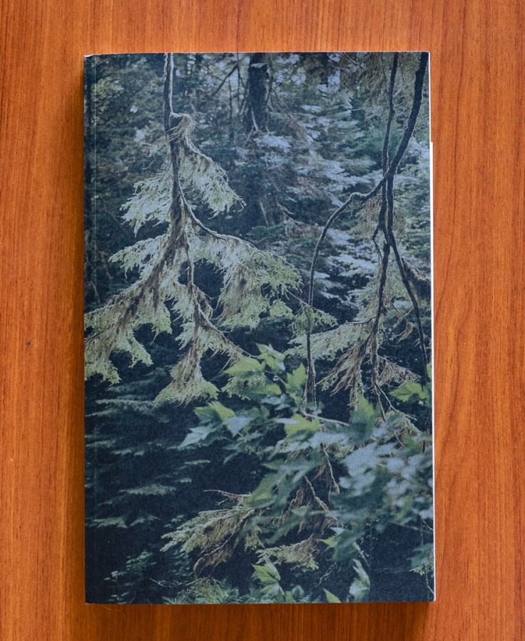 Karianne_Bueno_Dougs_Cabin_cover-v1