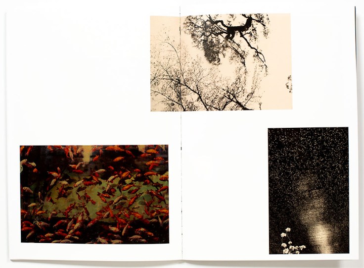 Albarran_Cabrera-Remembering_the_Future_2