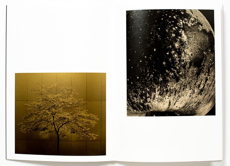 Albarran_Cabrera-Remembering_the_Future_3