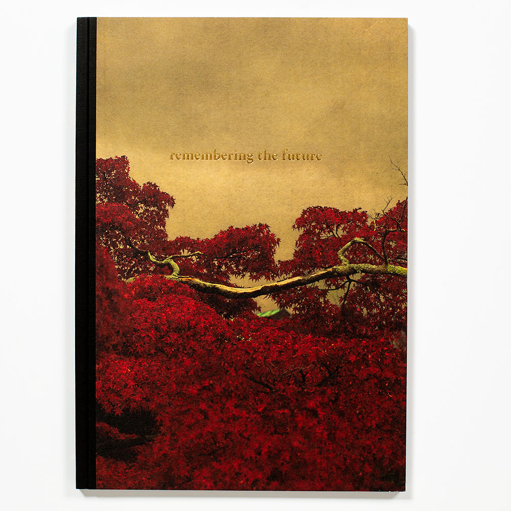 albarran cabrera remembering the future