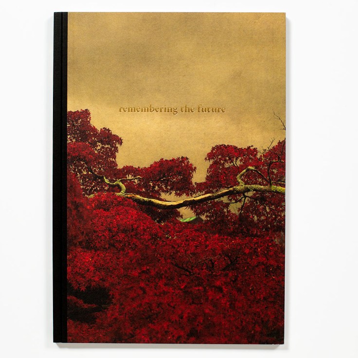 Albarran_Cabrera-Remembering_the_Future_cover_IG