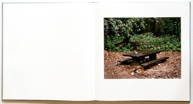 Kirk_Krippens_Going_South-3