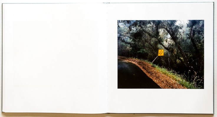 Kirk_Krippens_Going_South-8