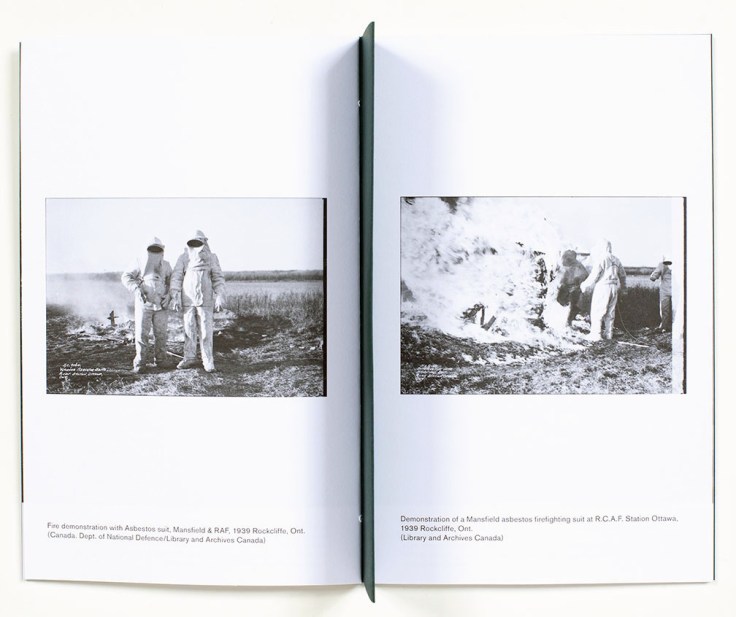 Louie_Palu_A-Field-Guide-to-Asbestos_1