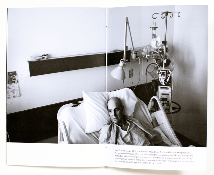 Louie_Palu_A-Field-Guide-to-Asbestos_8