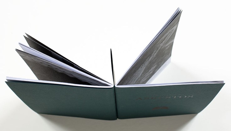 Louie_Palu_A-Field-Guide-to-Asbestos_top-view