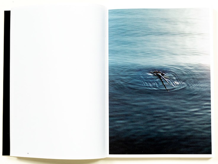 Lynn_Alleva_Lilly-Deep-Time_2