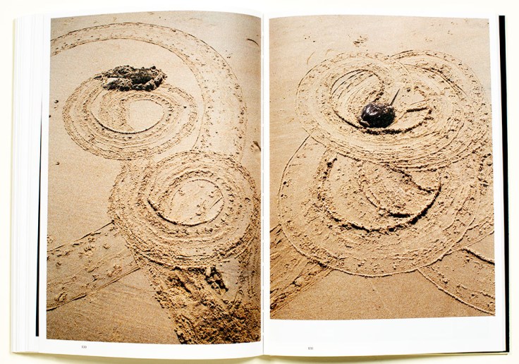 Lynn_Alleva_Lilly-Deep-Time_5