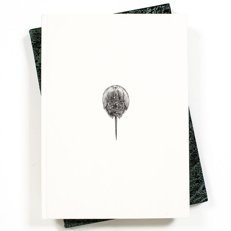 Lynn_Alleva_Lilly-Deep-Time_cover