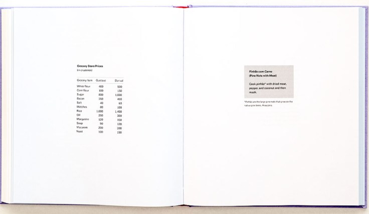 Maria_Thereza_Alves_Recipes-For-Survival-11