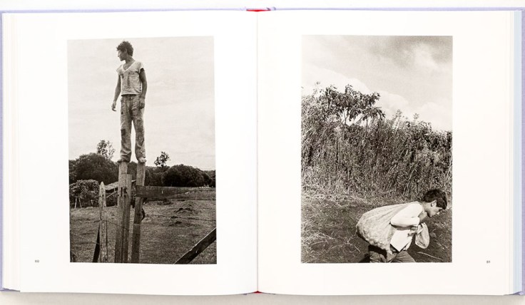 Maria_Thereza_Alves_Recipes-For-Survival-6