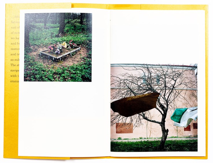 Ekaterina_Vasilyeva-Road_To_Petergof_2