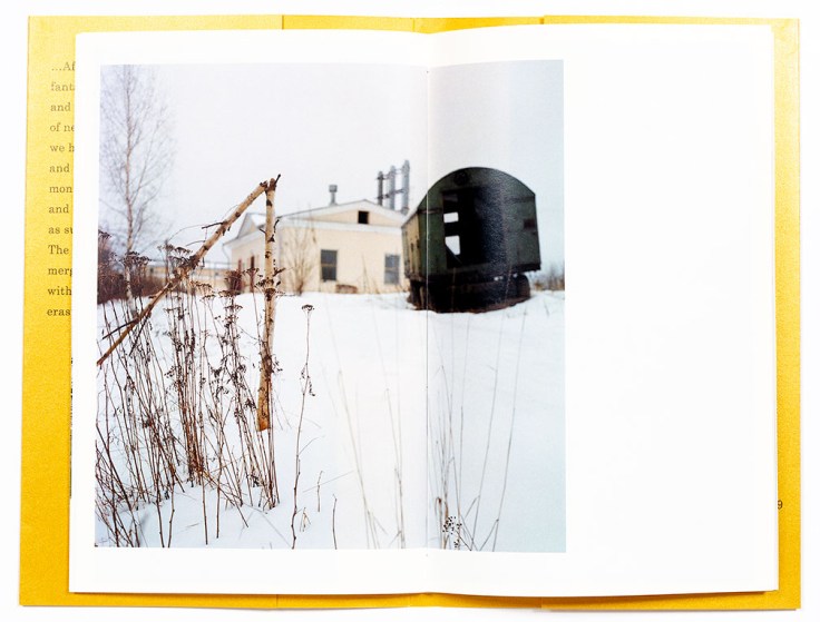 Ekaterina_Vasilyeva-Road_To_Petergof_7