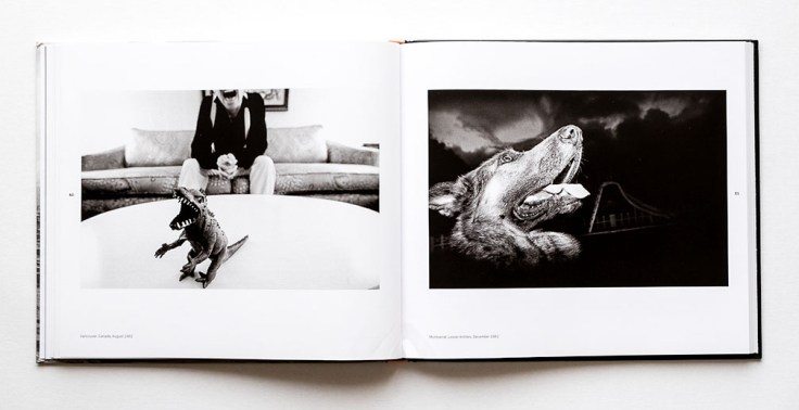 Andy_Summers-A_Certain_Strangeness-5