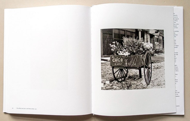 goldstein_east_harlem_008