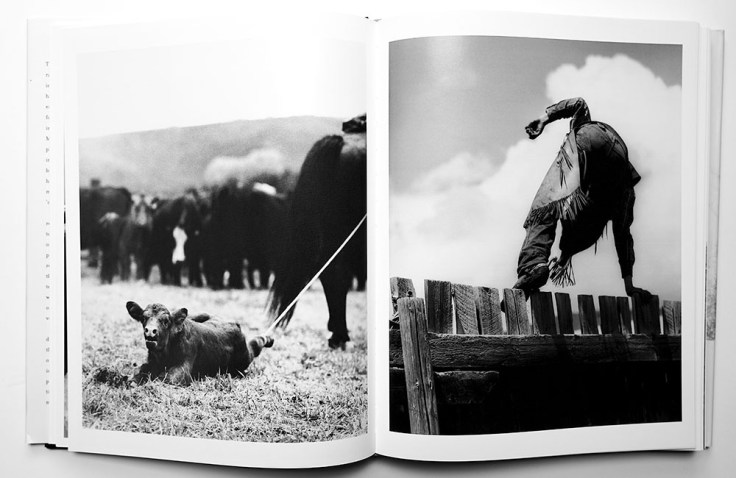 Michael_Crouser-Mountain_Ranch_4