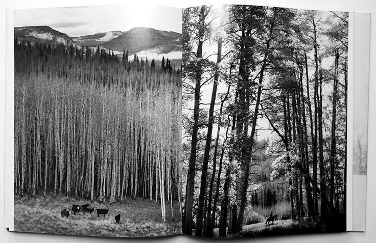 Michael_Crouser-Mountain_Ranch_6