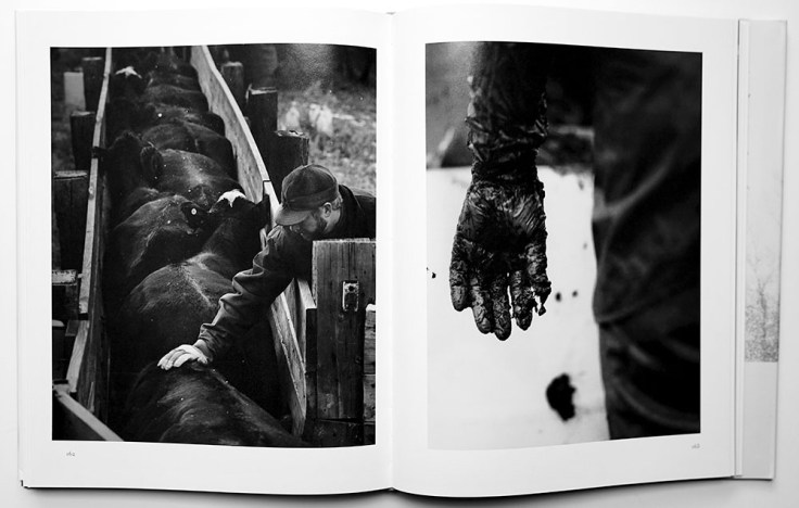 Michael_Crouser-Mountain_Ranch_7