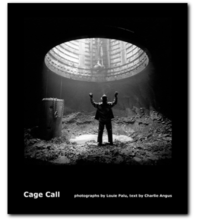 Palu-Cage-Call-Cover