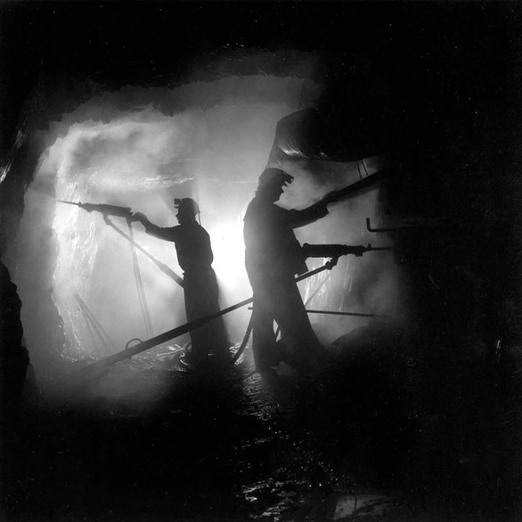 Palu-Cage-Call_Cross-cut