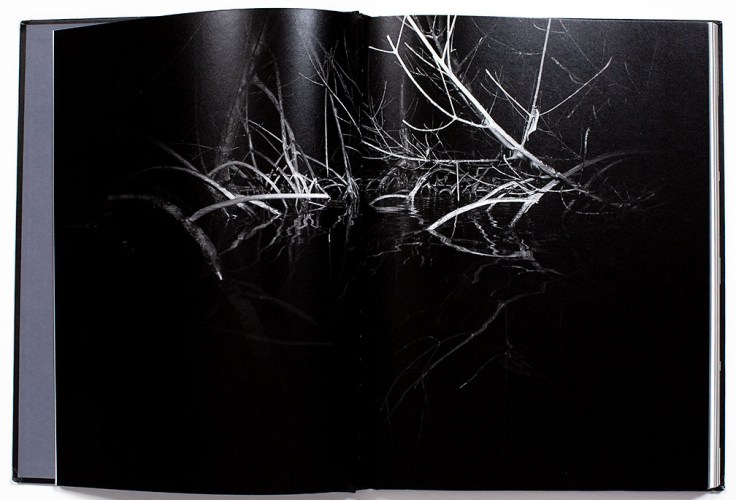 Bil_Zelman-And_Here_We_Are_1