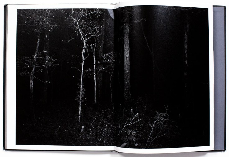 Bil_Zelman-And_Here_We_Are_3