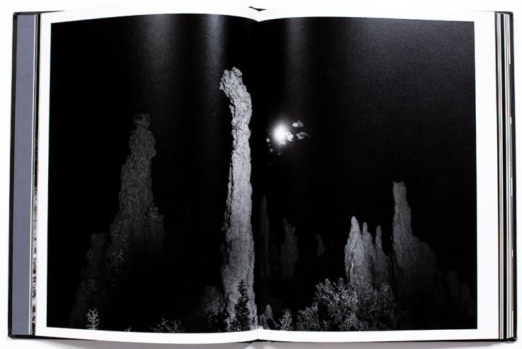 Bil_Zelman-And_Here_We_Are_4