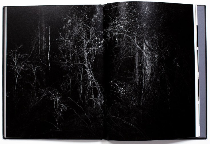 Bil_Zelman-And_Here_We_Are_5