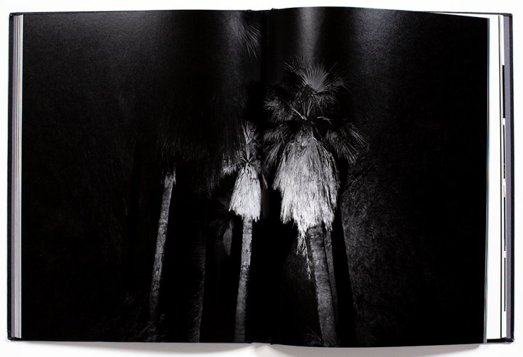 Bil_Zelman-And_Here_We_Are_7