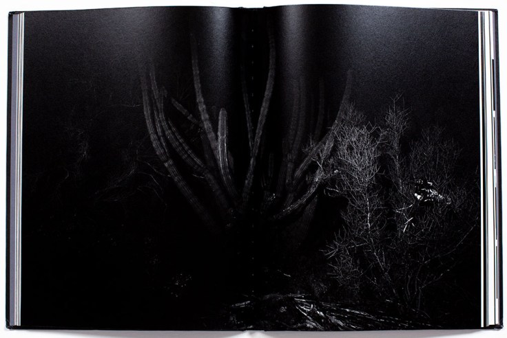 Bil_Zelman-And_Here_We_Are_8