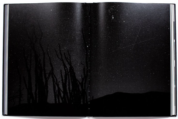 Bil_Zelman-And_Here_We_Are_9