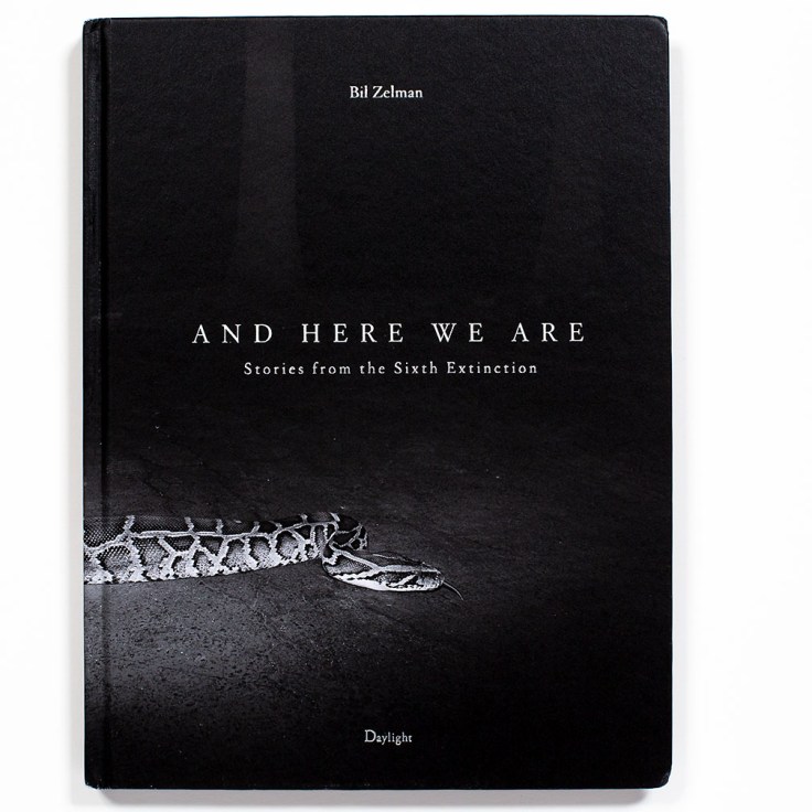 Bil_Zelman-And_Here_We_Are_cover