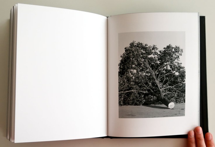 Zora_Murff-At_No_Point_In_Between_4