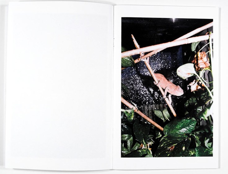 Christian Michael Filardo_Gerontion_5