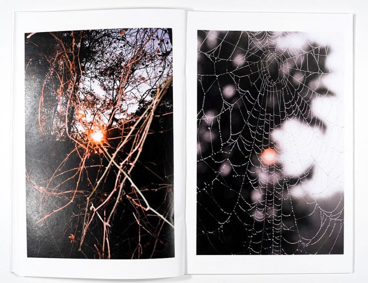 Christian Michael Filardo_Gerontion_8