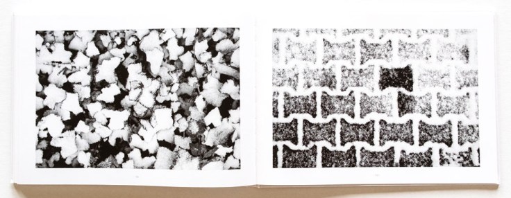 Jason_Bystrom-Winter_White-10