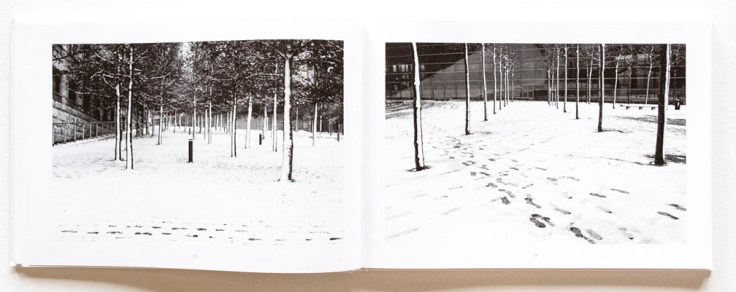 Jason_Bystrom-Winter_White-4