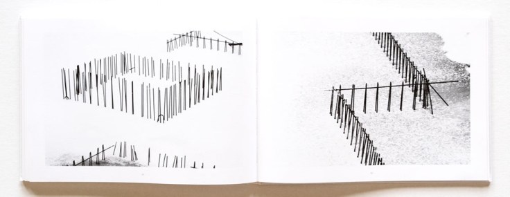 Jason_Bystrom-Winter_White-9