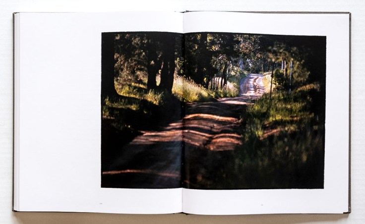 Bill_Henson-The_Light_Fades_But_the_Gods_Remain_8