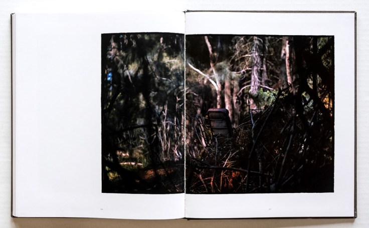 Bill_Henson-The_Light_Fades_But_the_Gods_Remain_9