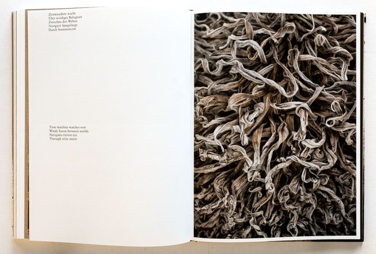 Florian_Schwarz-A_Handful_of_Dust-10