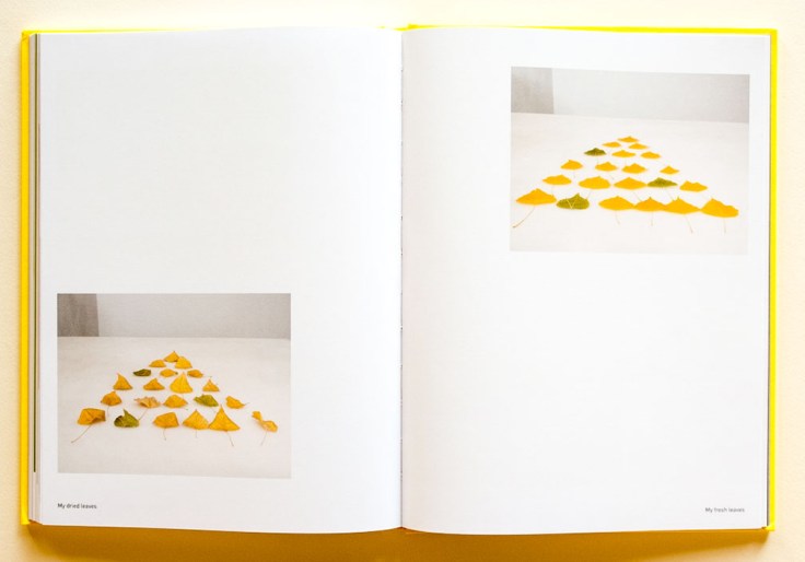 Jonathan_Blaustein-Extinction_Party_10