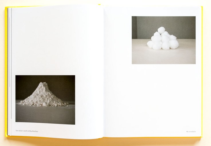 Jonathan_Blaustein-Extinction_Party_3